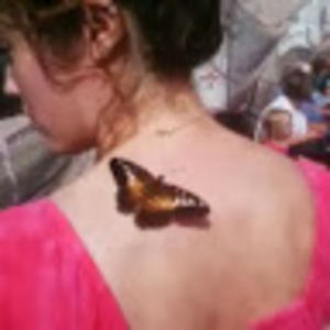 Meet your Posher, Lyndzy